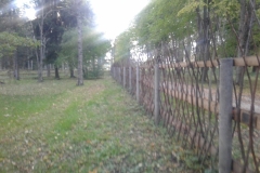 20160920_173120