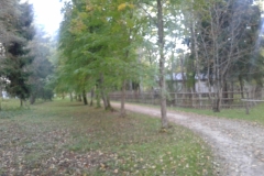 20160920_173349